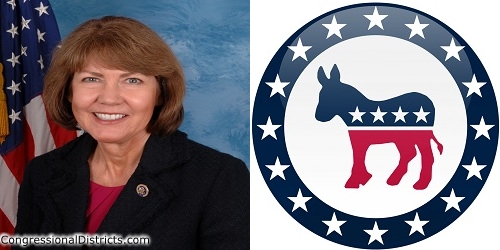 Photo of Arizona congresswoman Ann Kirkpatrick